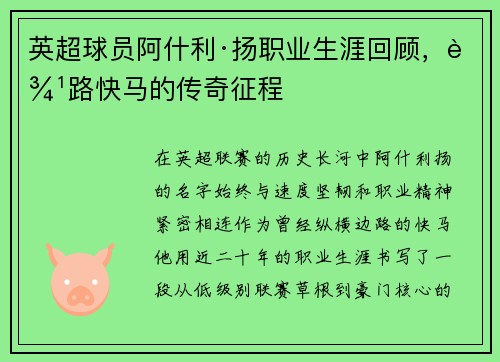 英超球员阿什利·扬职业生涯回顾，边路快马的传奇征程